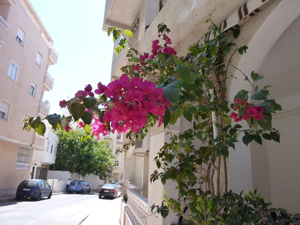טורבייחה The Cozy Apartment מראה חיצוני תמונה